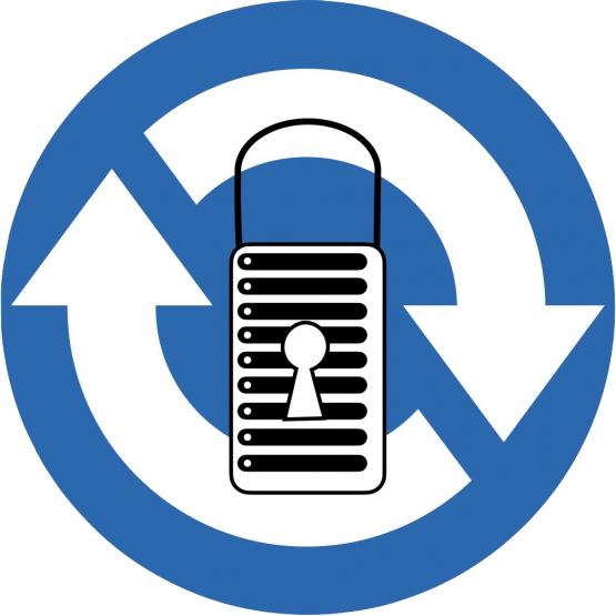 Datensicherheit-555x555  